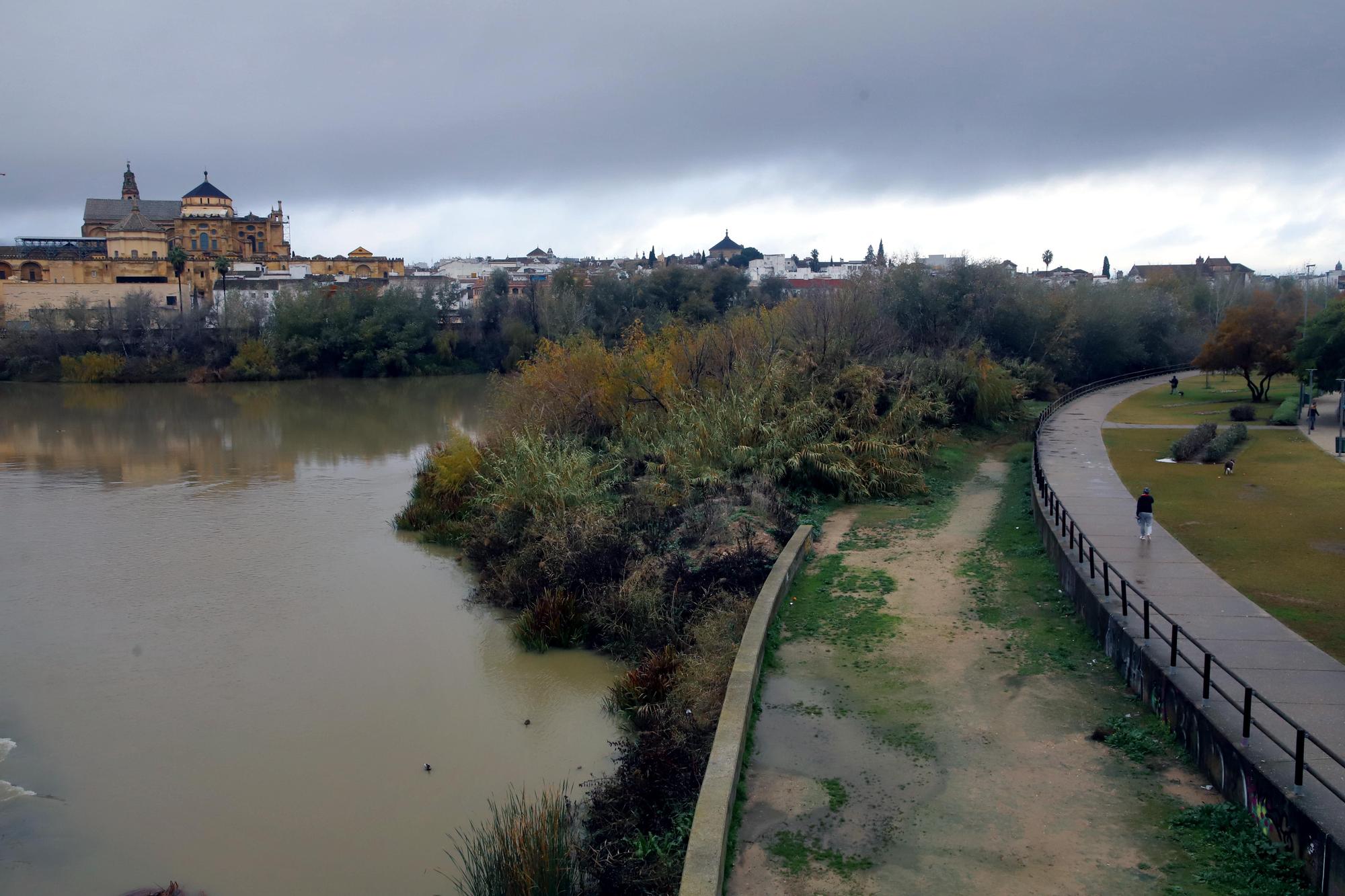 La vegetación no deja ver el río Guadalquivir