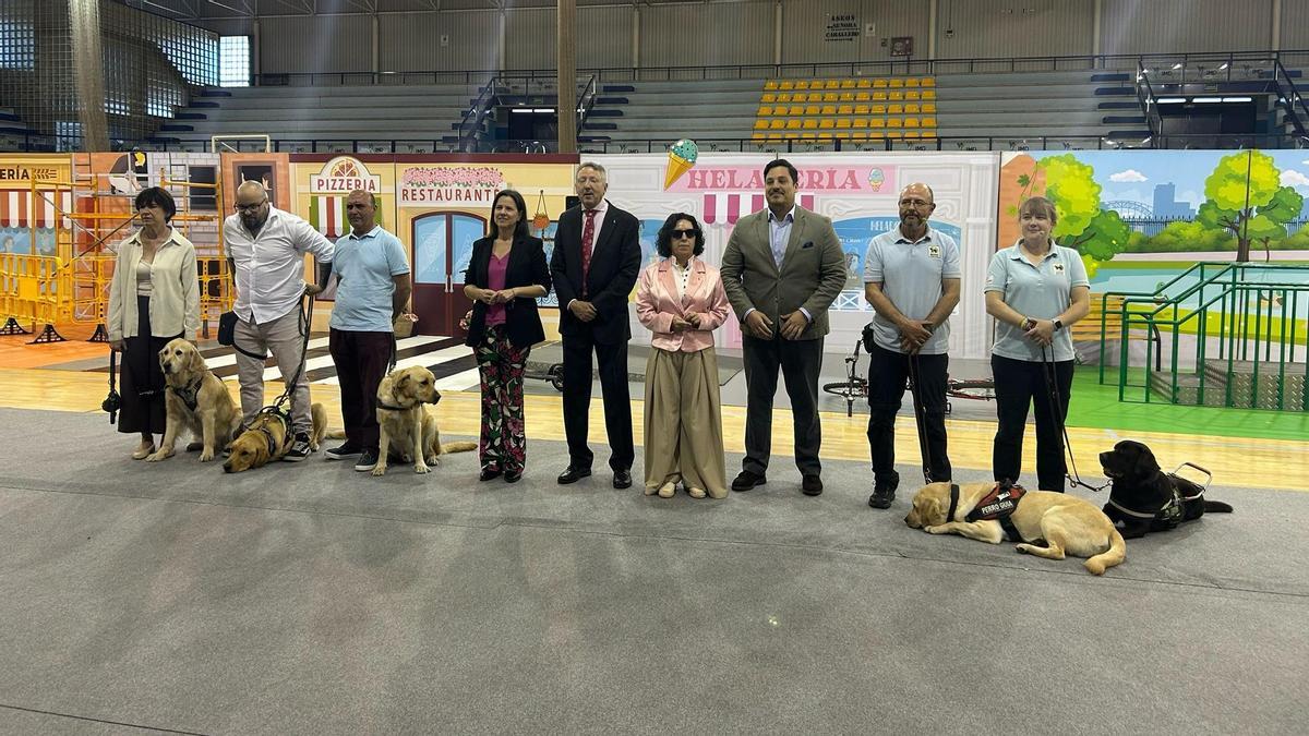 Vídeo | Más que un perro, la exhibición de la ONCE sobre los perros guía para personas con discapacidad visual