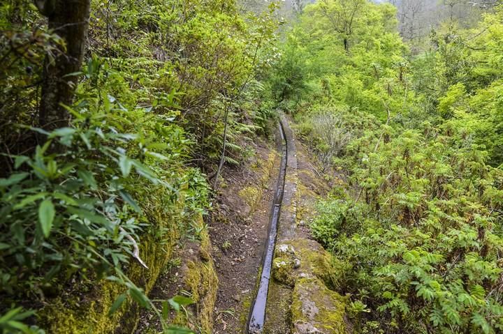 NACIENTES DE AGUA EN EL BARRANCO DE LA VIRGEN