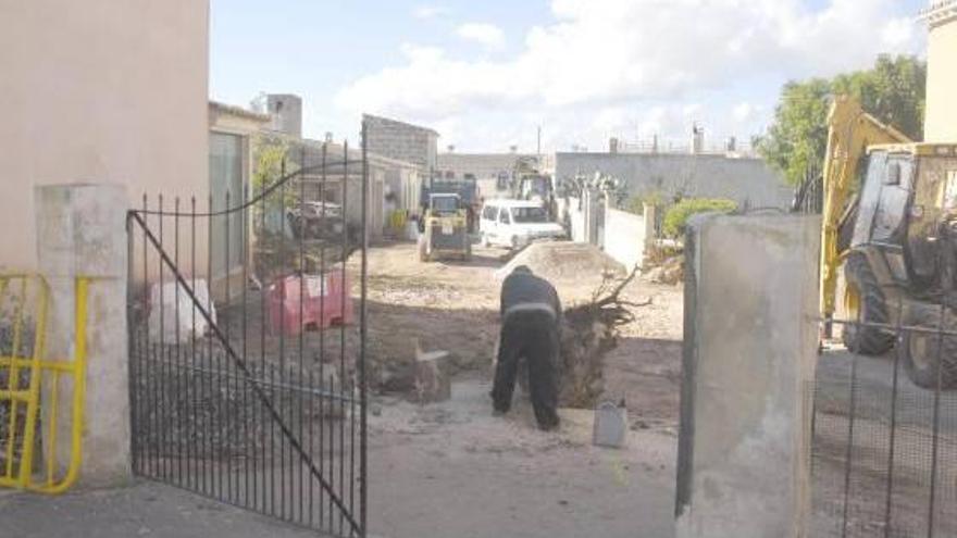 Un operario retira un tocón arrancado de la futura calzada.