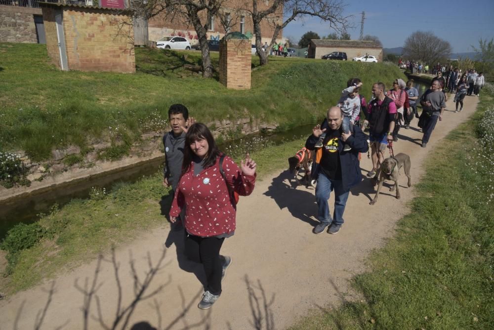 Totes les fotos de la Transèquia 2020