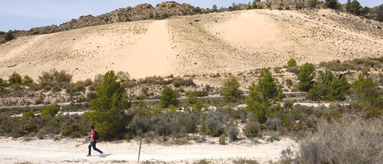 Hallan trampas ilegales de caza en un tradicional paraje de mona de Elda y Petrer