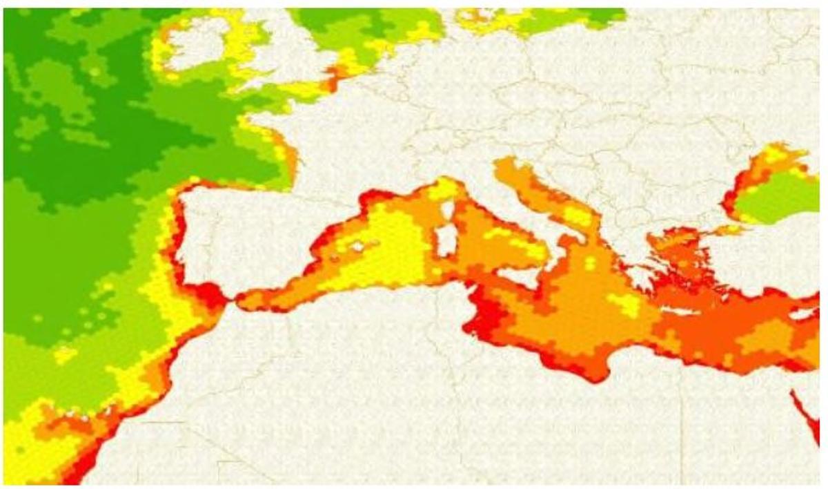 Zonas más propensas a ser invadidas por el alga (en rojo, las más probables)