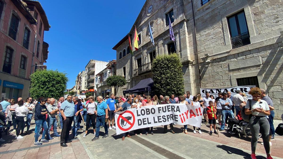 Manifetación ganadera en Llanes