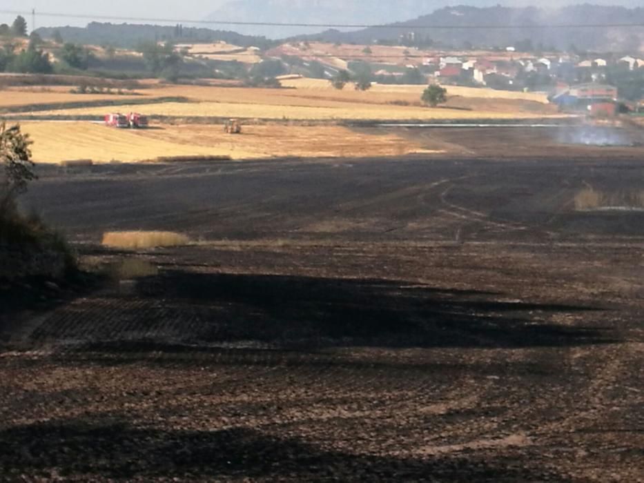 El desolador paisatge després del foc