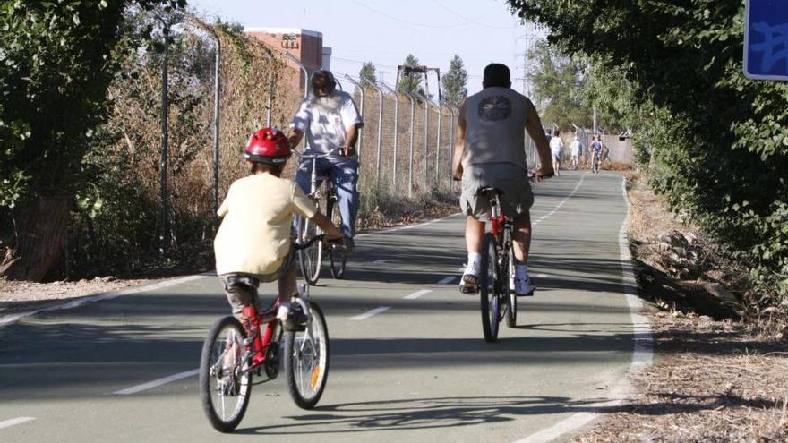 Usuarios en el carril bici por la zona de La Aldehuela.