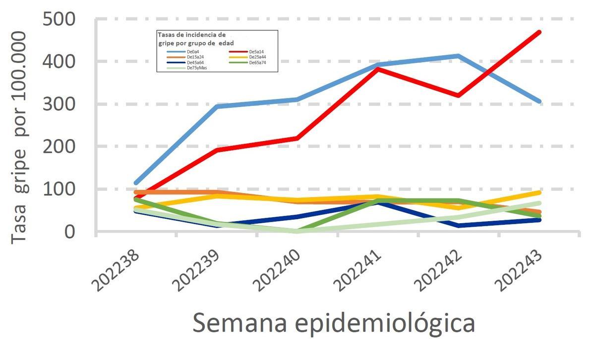 Evolución de la gripe en Zamora