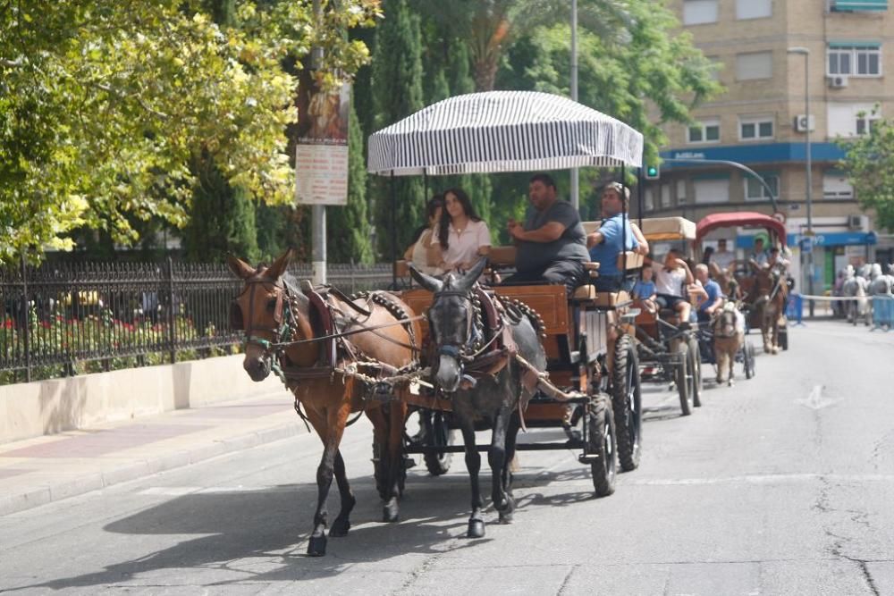 Día del caballo en la Feria de Murcia 2018