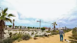 Torrevieja recurre a una modificación presupuestaria de 7,2 millones para zonas verdes, educativas y sociales