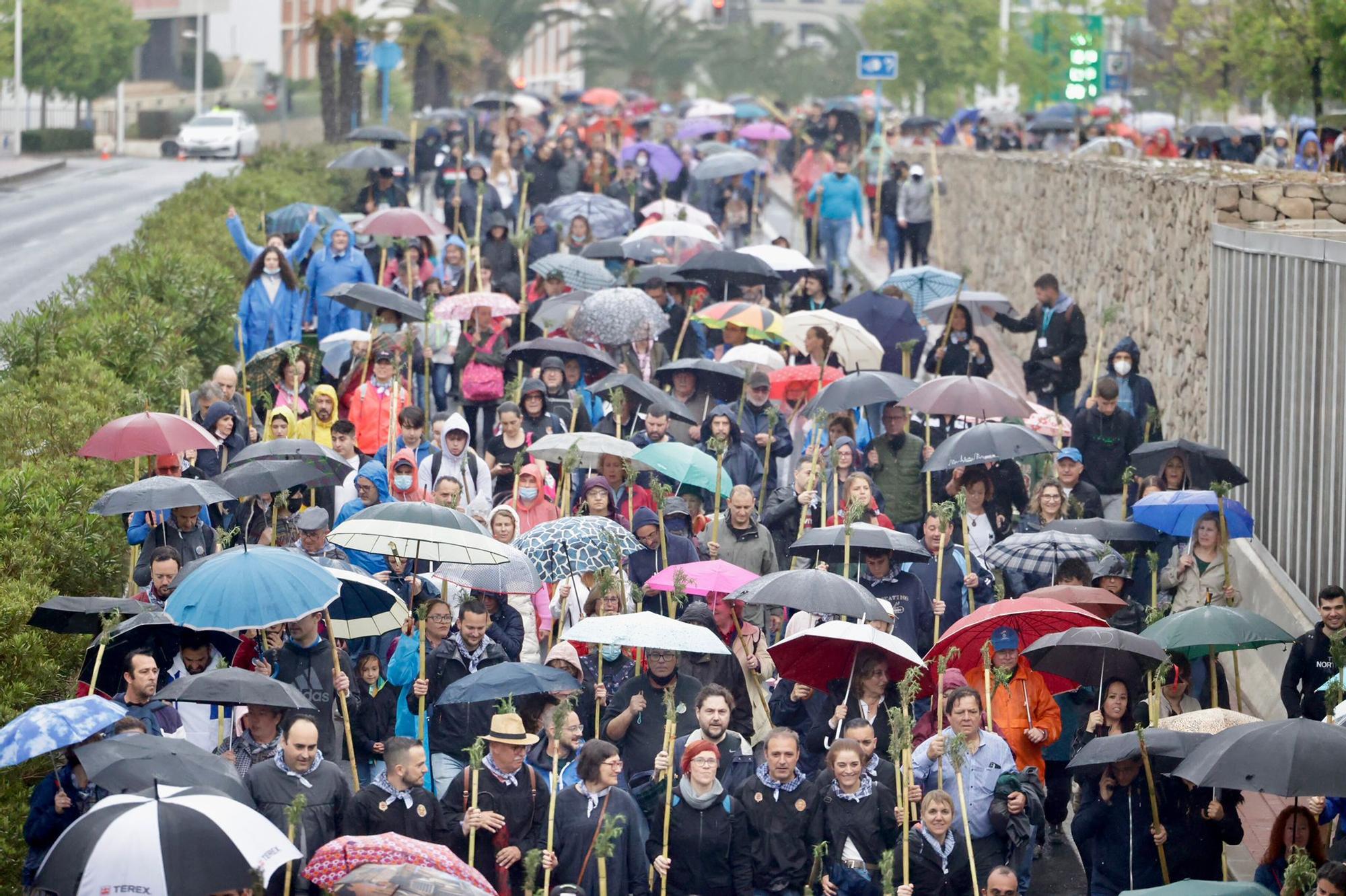 Miles de alicantinos acompañan a la Santa Faz en su peregrinación pese a la lluvia