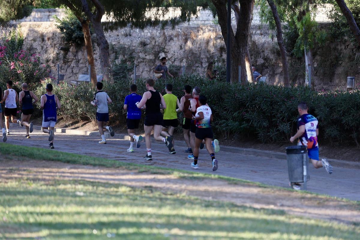 Búscate en la 5K de los Gay Games Valencia 2026 Búscate en la 5K de los Gay Games Valencia 2026