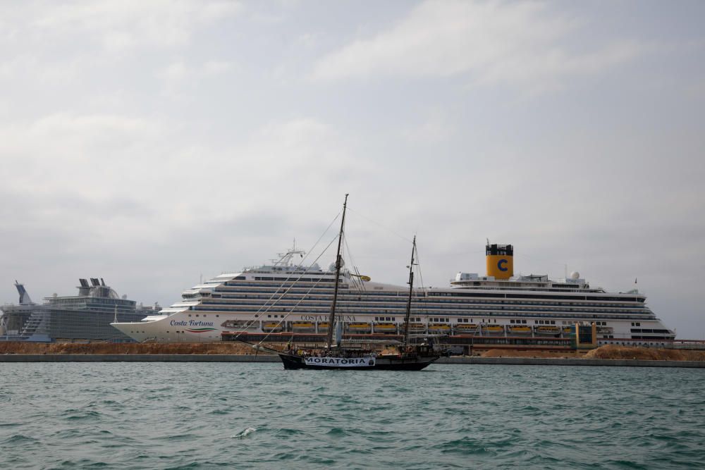 Exigen una moratoria en la contratación de cruceros y megacruceros en Palma