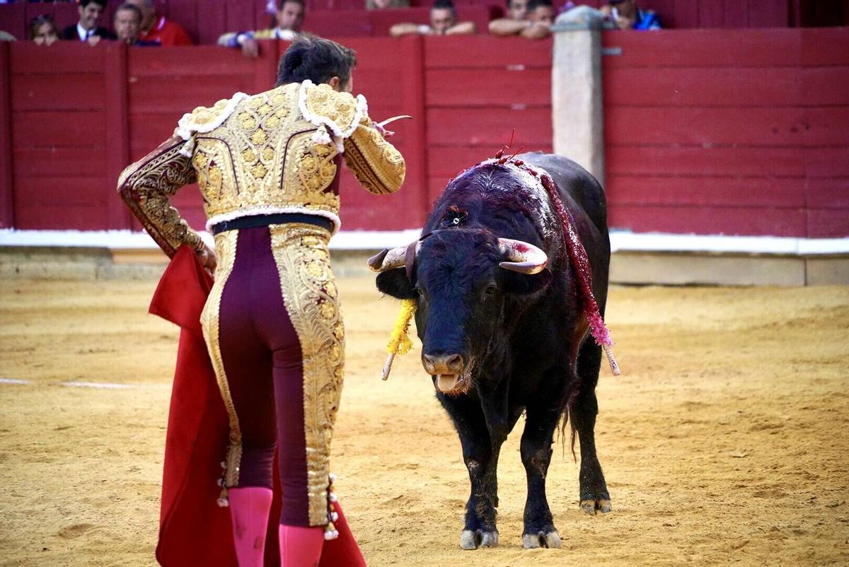 Corrida de toros en las fiestas de San Agustín Corrida de toros en las fiestas de San Agustín