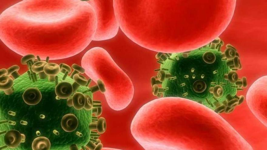 Recreación del VIH entre glóbulos rojos. // FdV