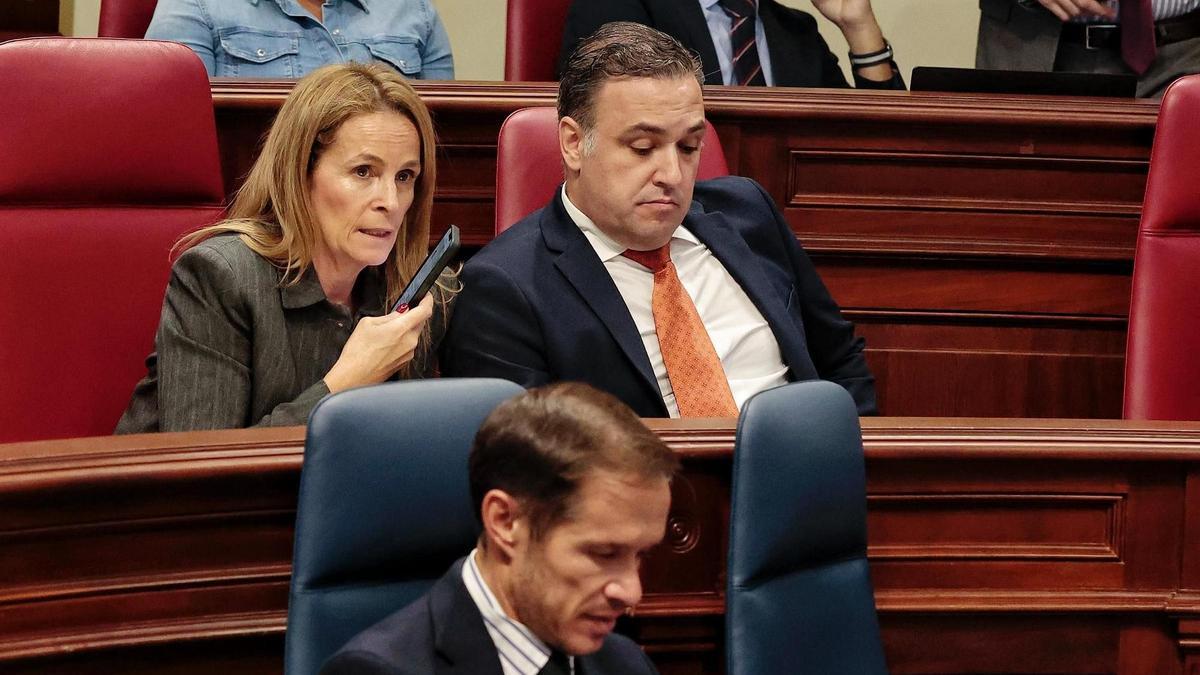 Varios diputados en sus escaños durante un pleno del Parlamento.