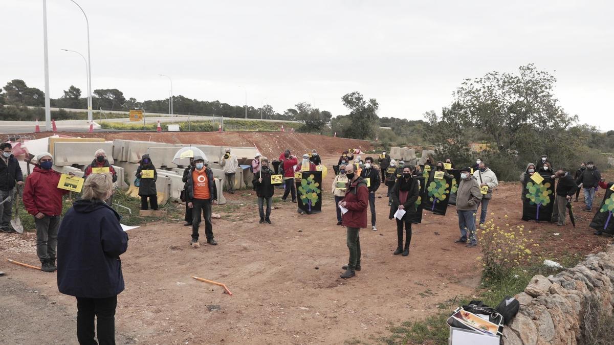 Los antiautopistas siembran árboles para protestar por los eliminados en la vía de Llucmajor a Campos