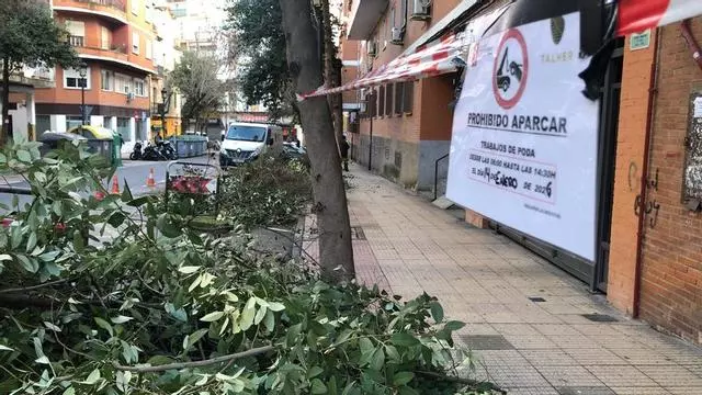 Poda en la calle Colón en la mañana de este martes