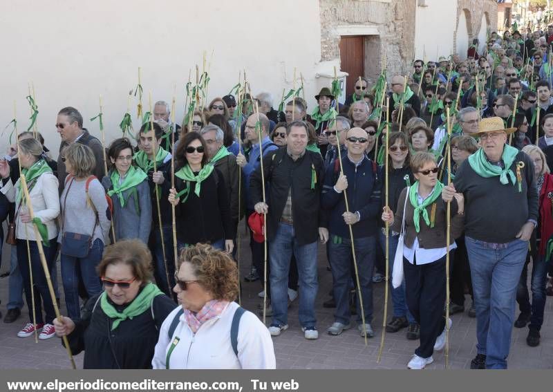 GALERÍA DE FOTOS - Romería Magdalena 2014 (5)