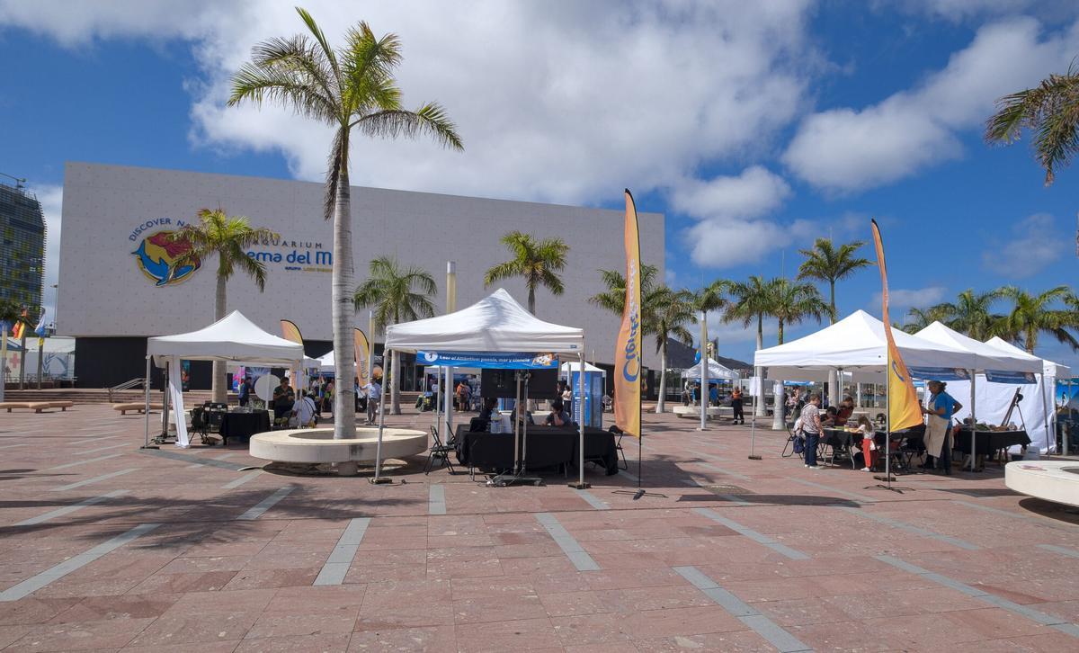 La ULPGC convierte el entorno del Poema del Mar en una gran feria científica al aire libre