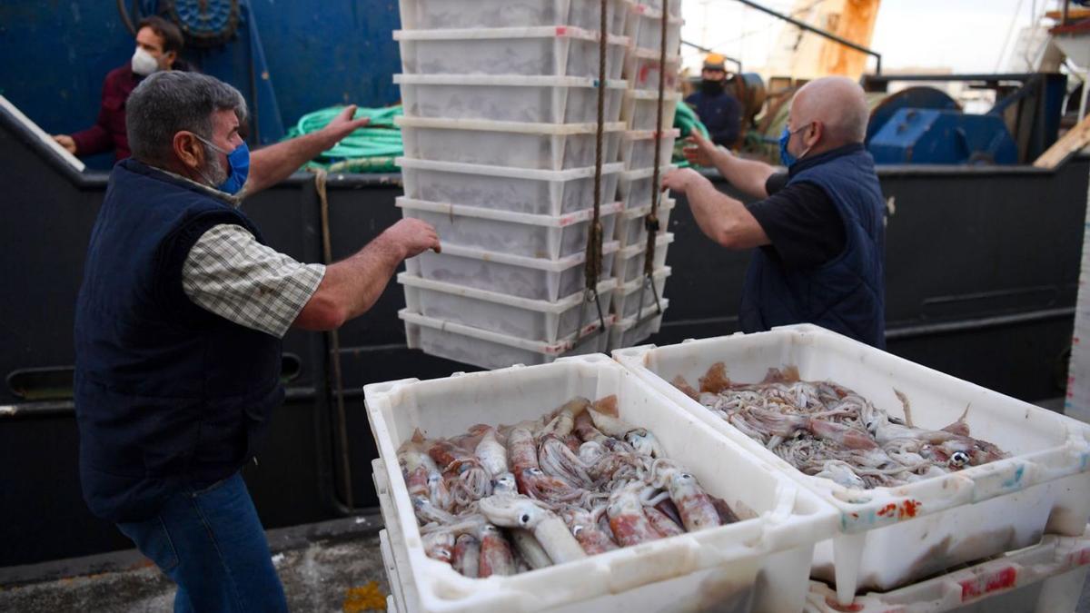 Descarga de pescado en el puerto de A Coruña, con destino a la lonja. |   // CARLOS PARDELLAS