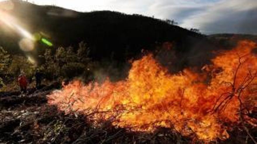 Seis fuegos sin control y el riesgo extremo de incendios azotan Asturias