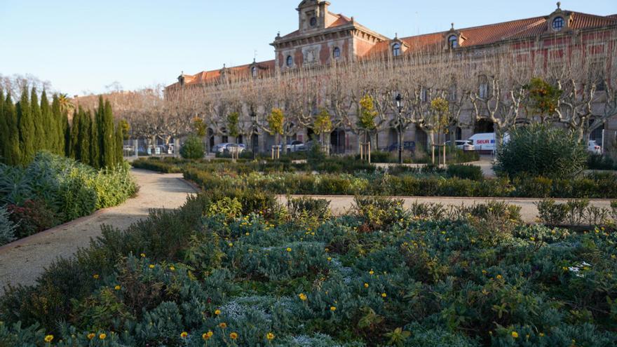 &quot;San Martín de Ampurias&quot;: El Parlament insta a deixar de traduir al castellà els topònims catalans a Google Maps