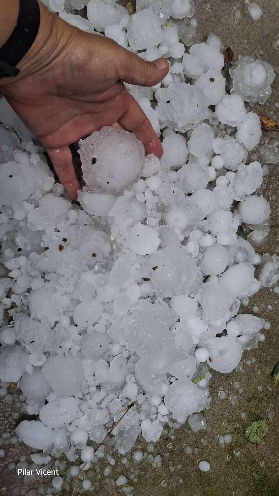 Estas son las consecuencias de la granizada en Vilavella