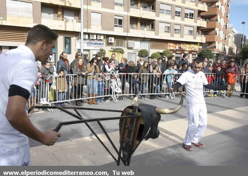 GALERÍA DE FOTOS -- Demostración de recortadores en Almassora