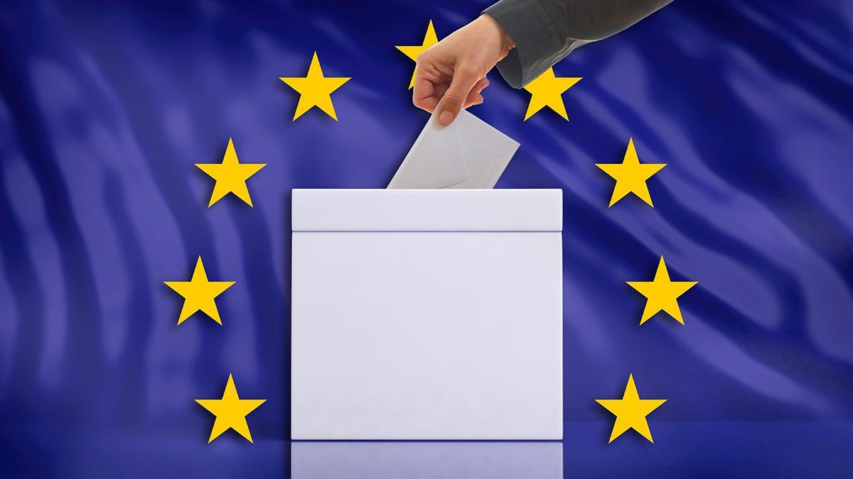 ELECCIONES EUROPEAS 2024 | El test para orientar tu voto en las elecciones  europeas