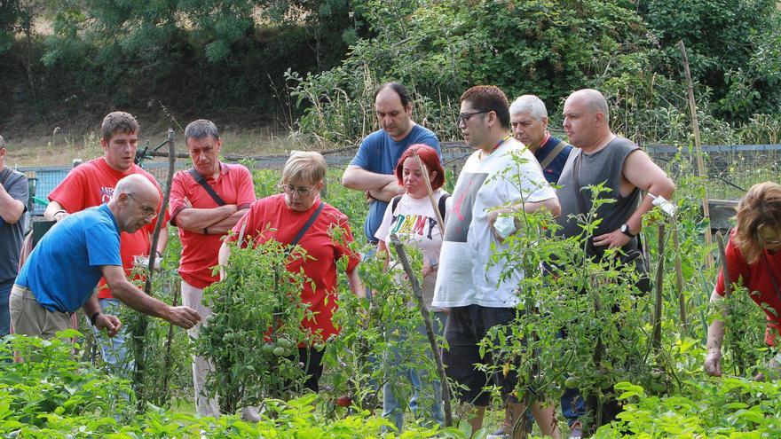 Pacientes de Psiquiatría del CHUO cultivan un huerto urbano para hacer terapia en grupo