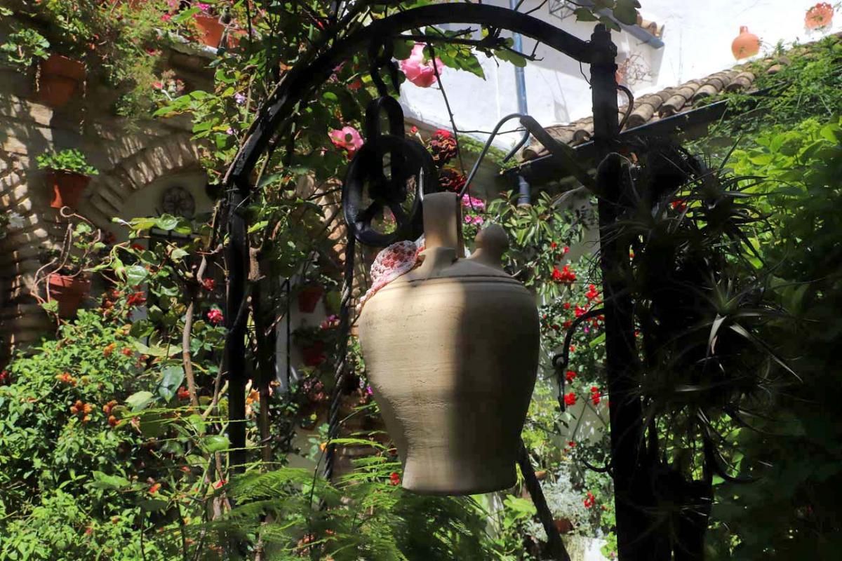 Los patios de Córdoba: las mejores fotos en San Agustín