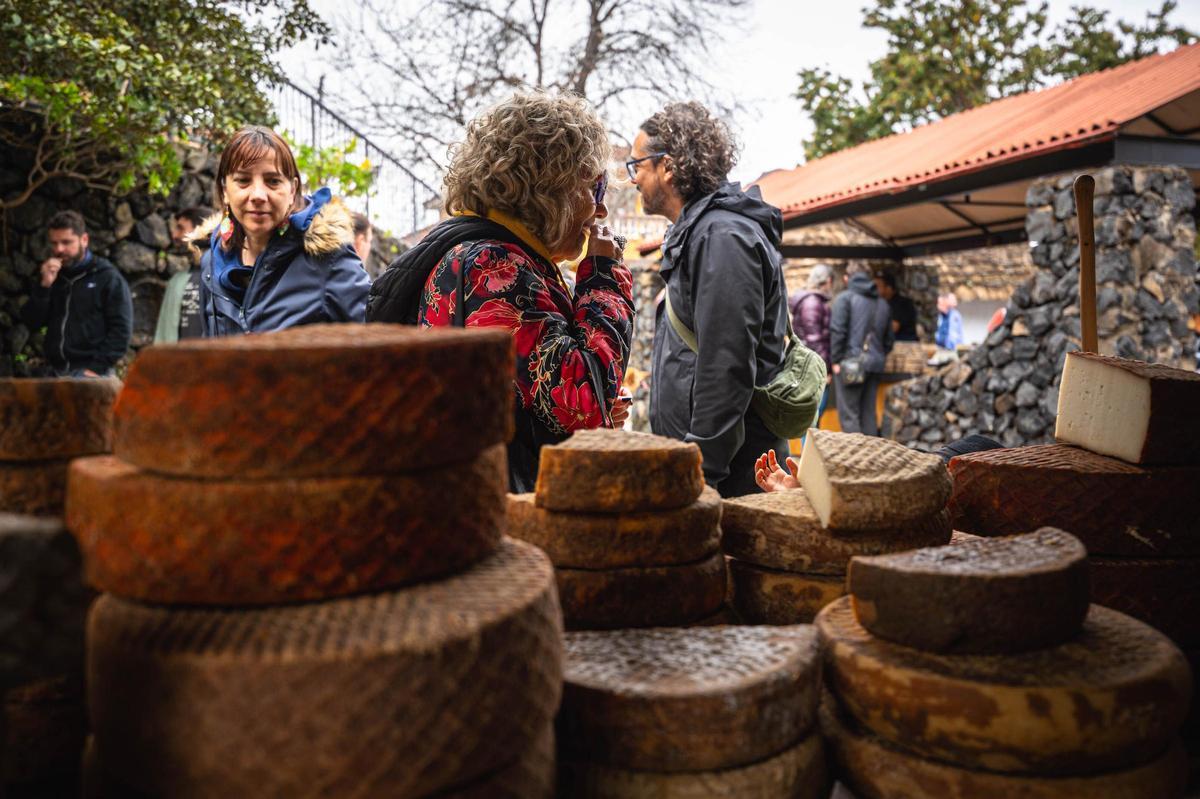 Feria del queso en Pinolere, Tenerife