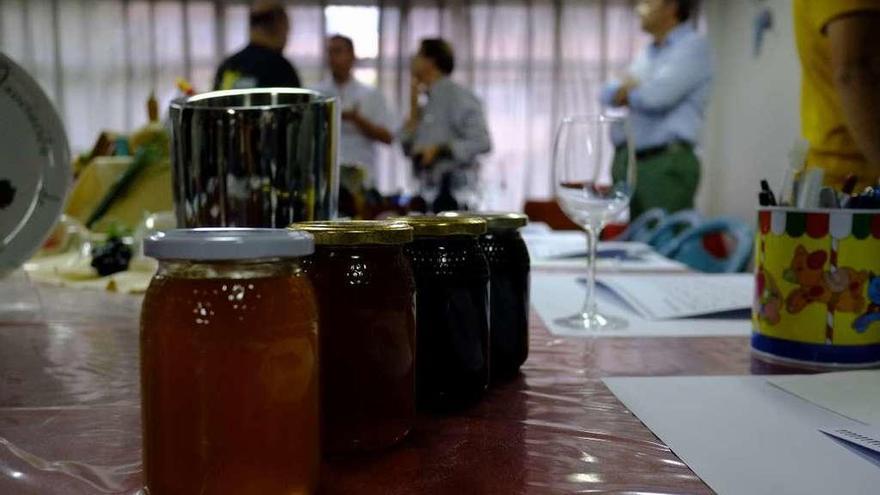 Cata de mieles zamoranas de Sanabria, Aliste y Carballeda