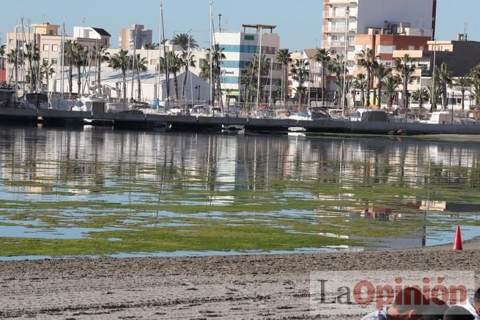 Un 'SOS' gigante para el Mar Menor formado por escolares en Villananitos