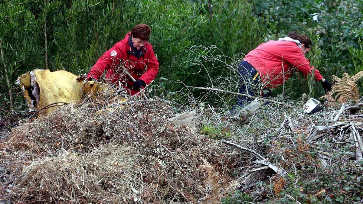 Los allegados realizaron batidas por montes de la ciudad