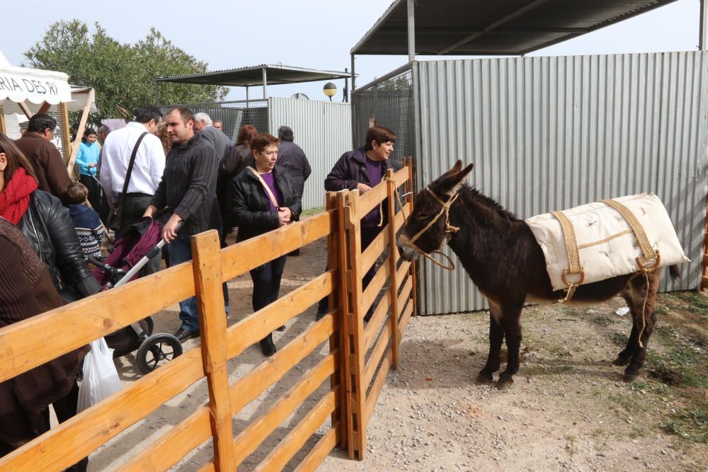 Feria de Artesanía en Santa Eulària