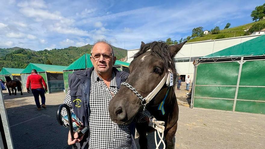 Los mejores caballos del norte de España se citan en Laviana: la feria ecuestre bate récord de participación con 210 animales de 95 ganaderías