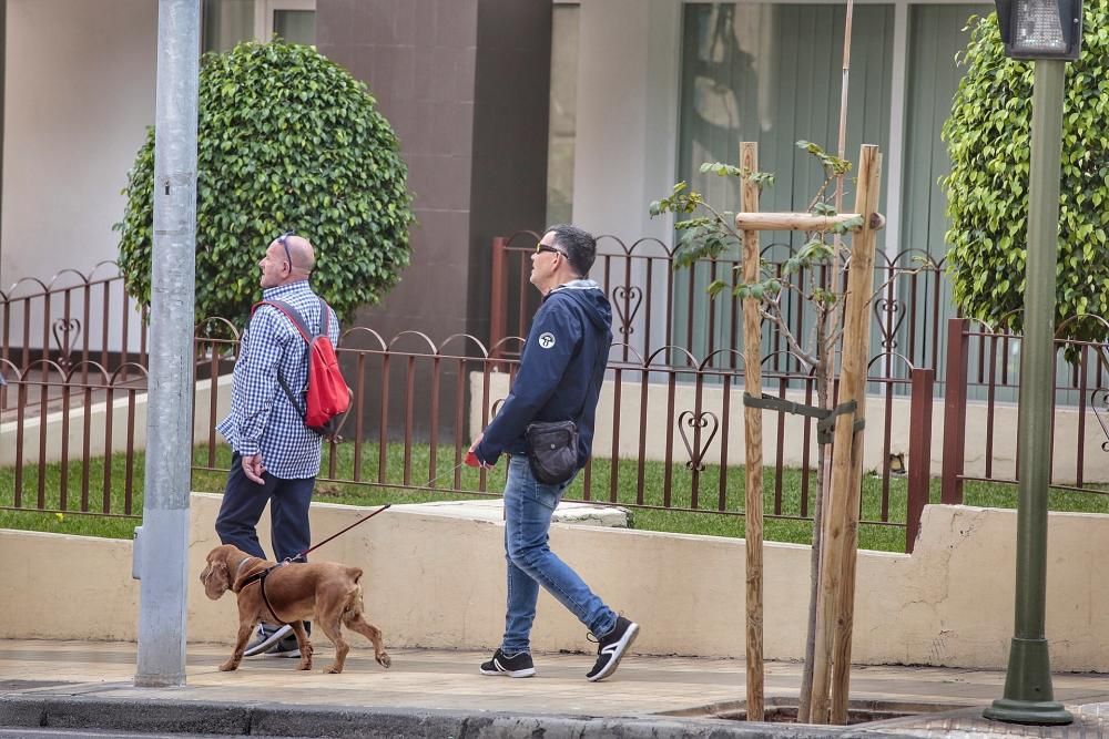 Reportaje: Gente con mascotas