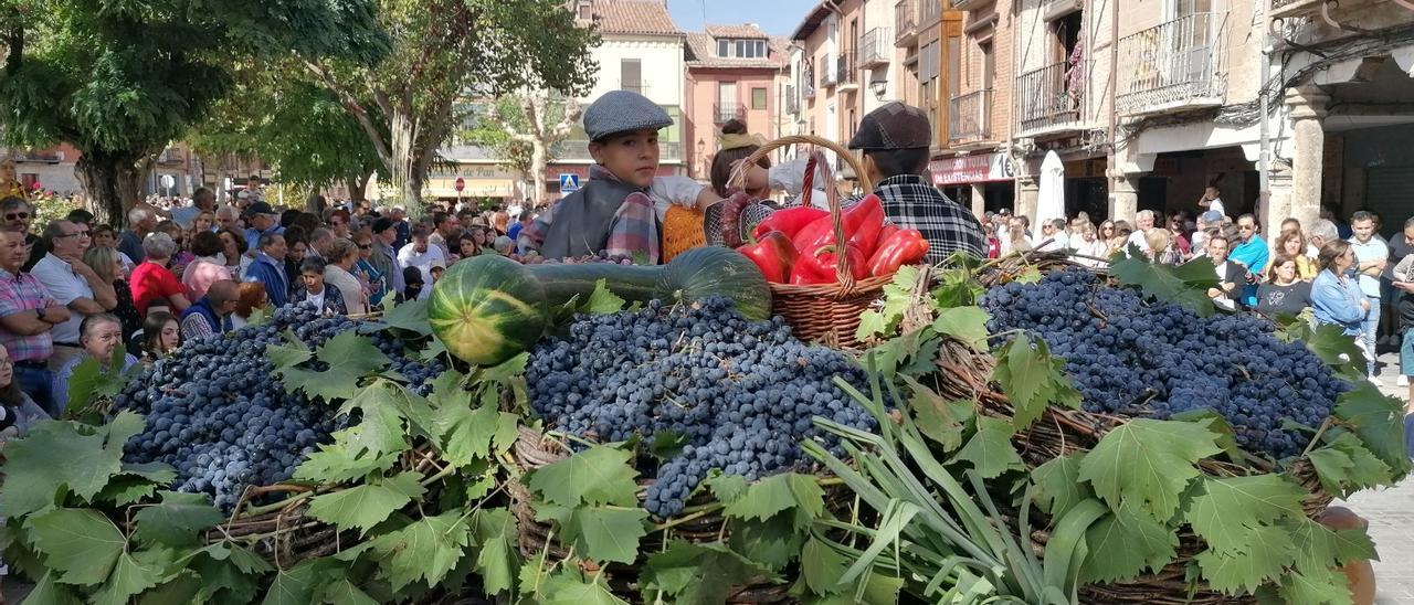 La vendimia en Zamora: El arte de cosechar historias y tradiciones