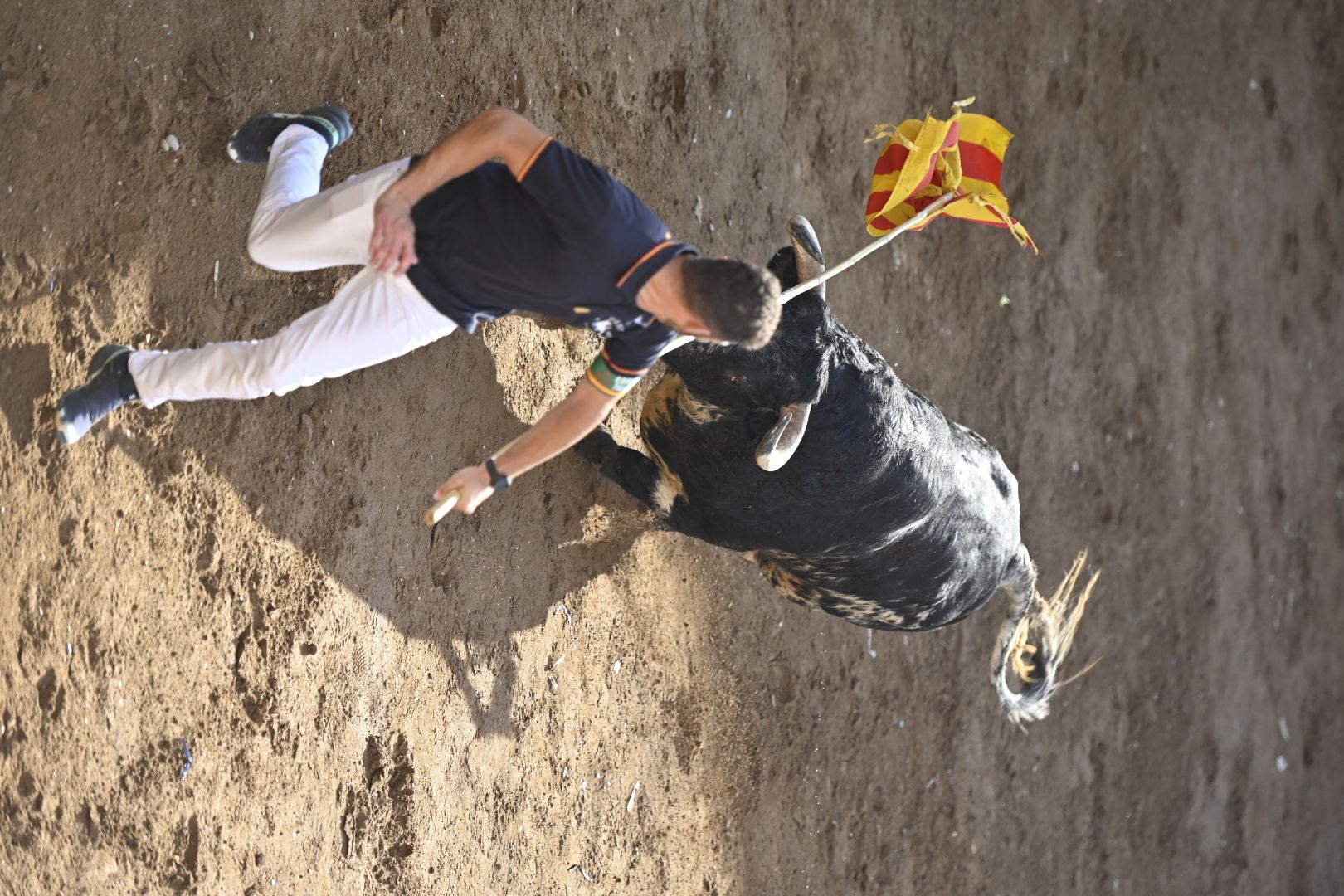 Galería | Primera tarde de toros en Almassora