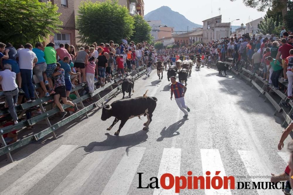 Segundo encierro de Calasparra