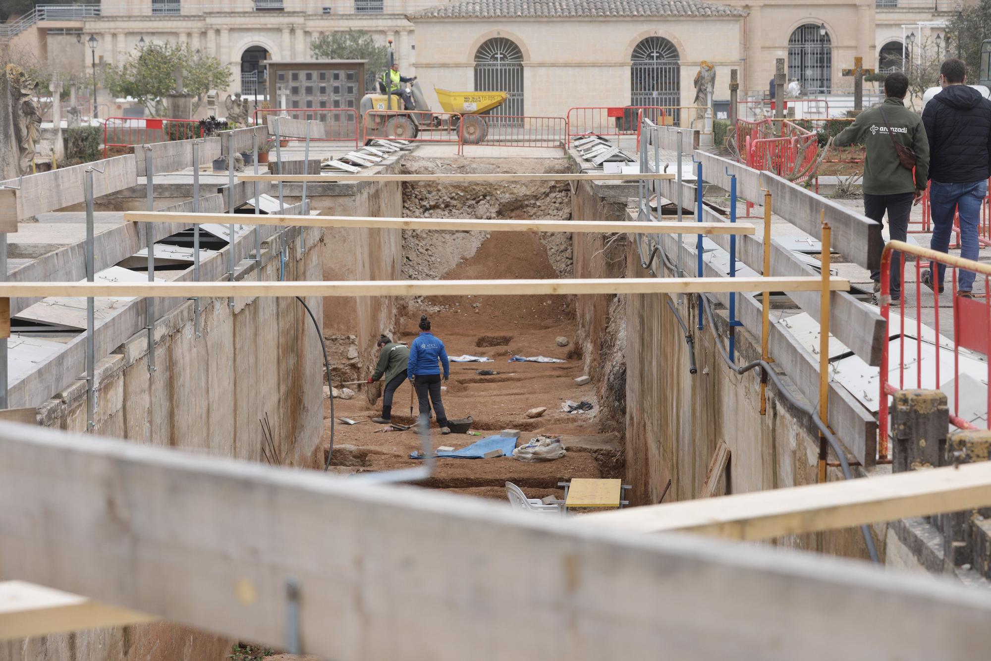 Memoria histórica de Mallorca. Así trabajan el equipo de arqueólogos en Son Coletes de Manacor