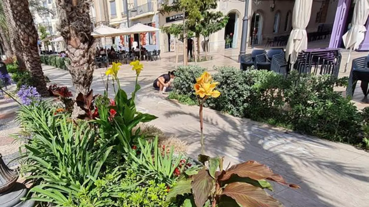 Jardines y Hogueras