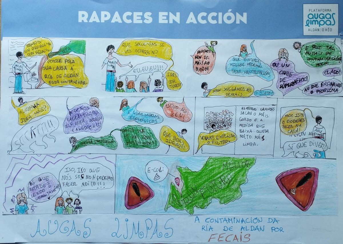 "Rapaces en acción", con los colegios de Aldán y O Hío para salvar la ría "Rapaces en acción", con los colegios de Aldán y O Hío para salvar la ría