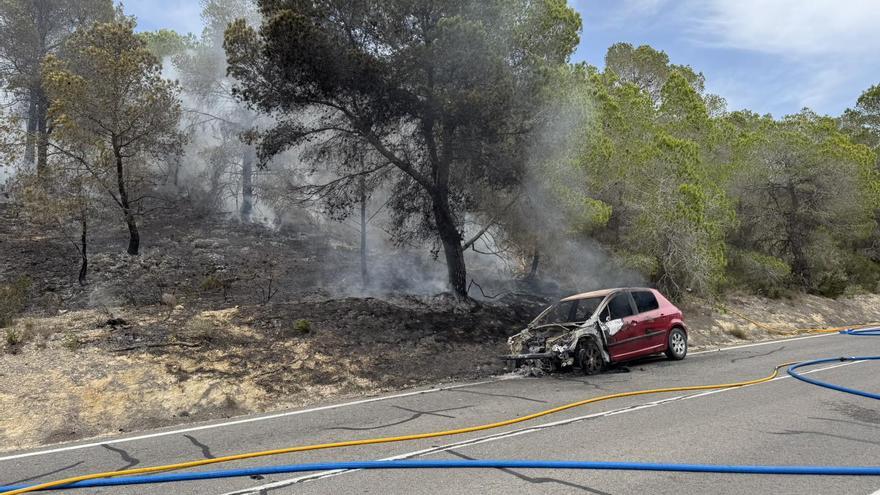 Arde una zona de pinada en Finestrat tras incendiarse un vehículo
