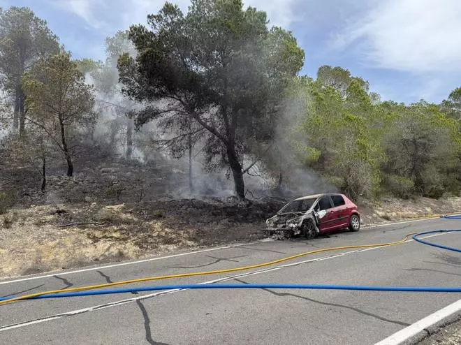 El incendio de un vehículo afecta a una zona de pinada en Finestrat
