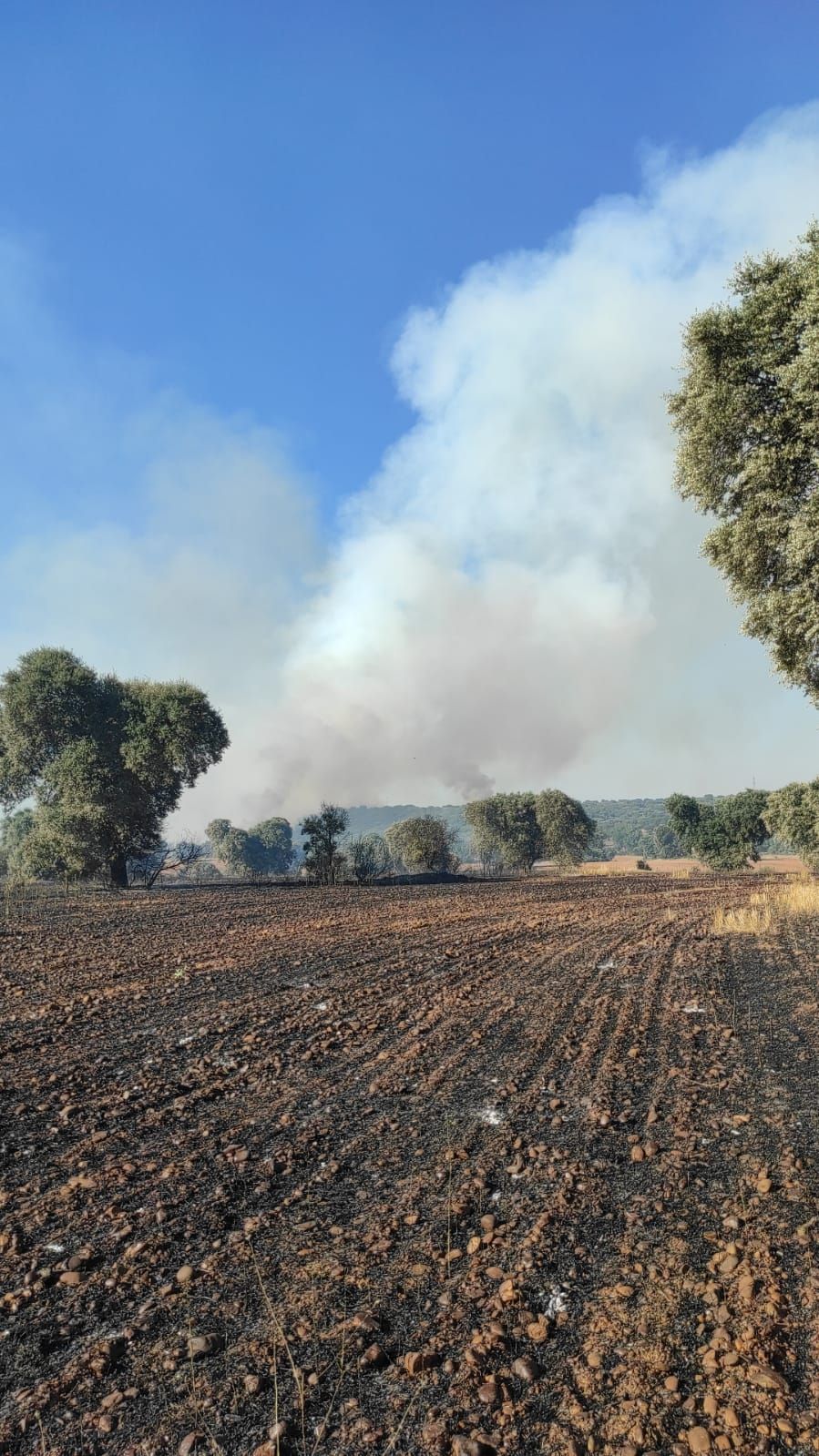 Incendio en Valdescorriel.