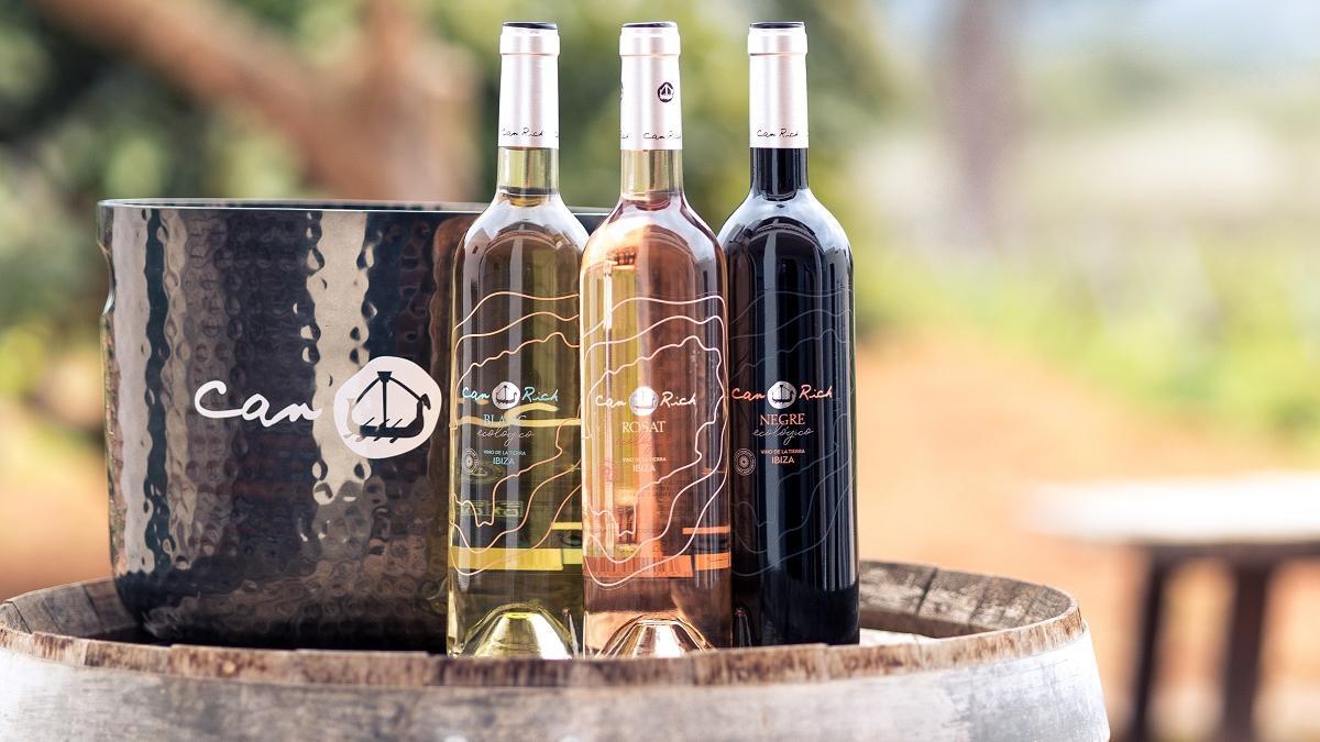 os vinos de 2024 destacan por ser aromáticos, suaves, vibrantes y sabrosos.