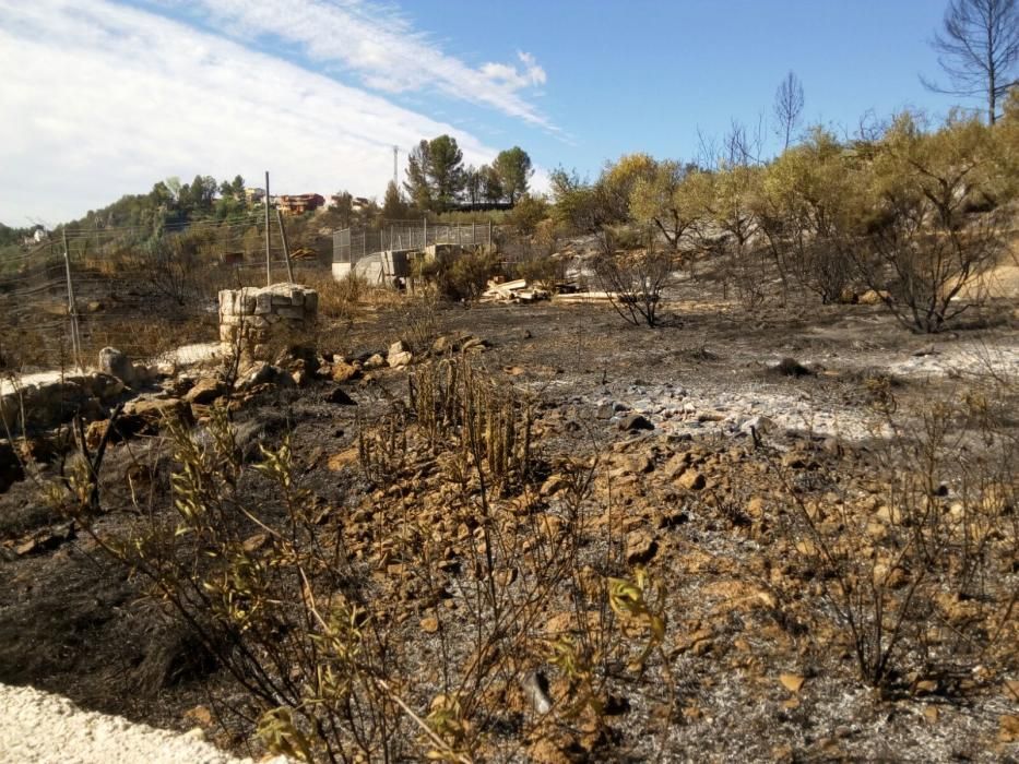 Paisaje que ha quedado en Bolbaite tras el paso del fuego.