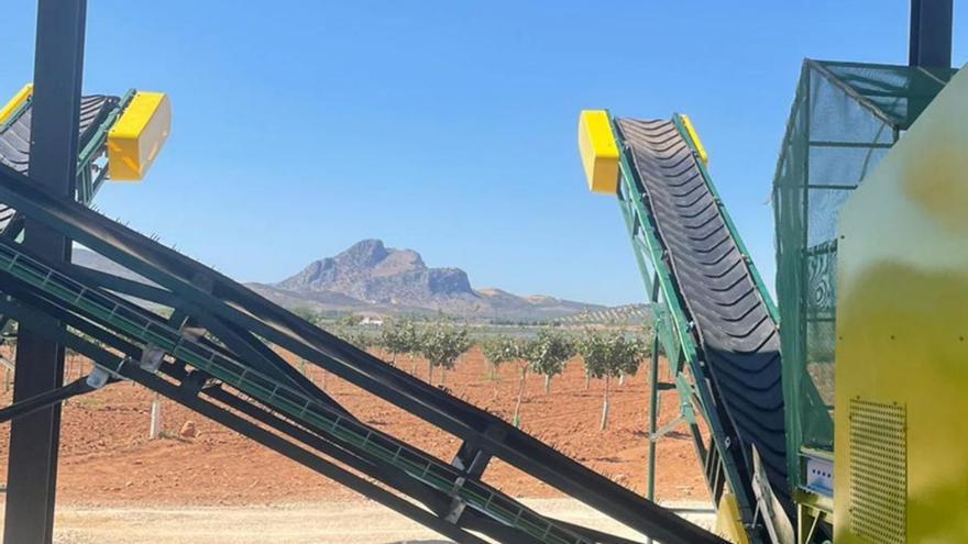 Nueva planta de procesado de Agro Ruiz con los pistachos y la peña de fondo.